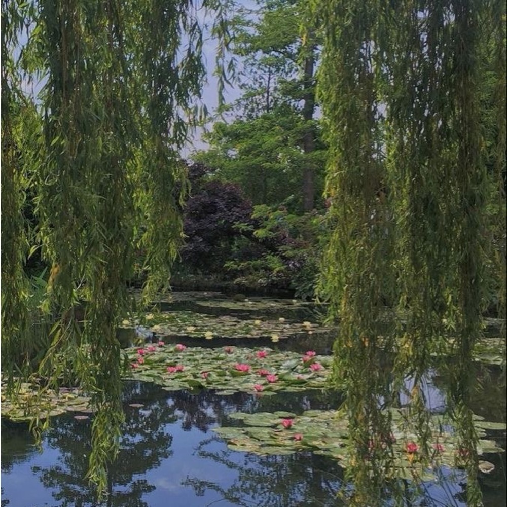 💐🌸 Spring Closet Clear Out!! 🌸💐 - Picture 6 of 11